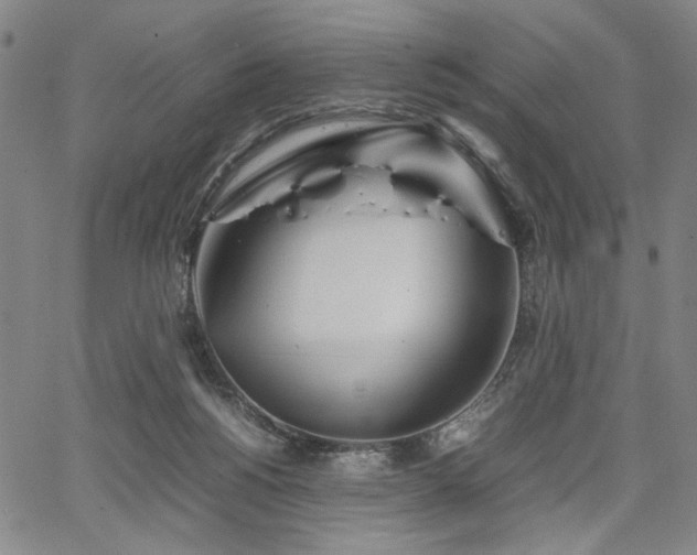 X0000067480168200604071148