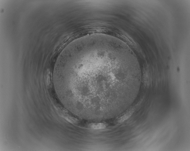 X0000067480169200604071148