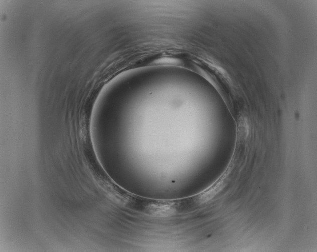 X0000067480170200604071148