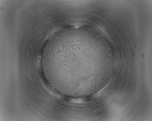 X0000067480171200604071148