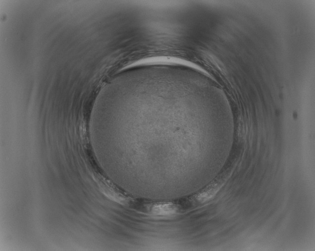 X0000067480173200604071148