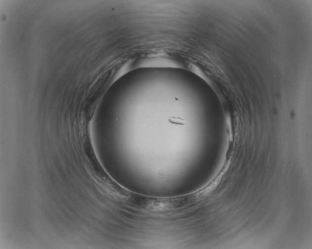 X0000067480174200604071148