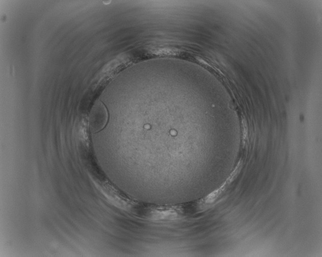 X0000067480175200604071148