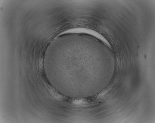 X0000067480177200604071148