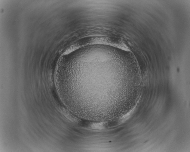 X0000067480178200604071148