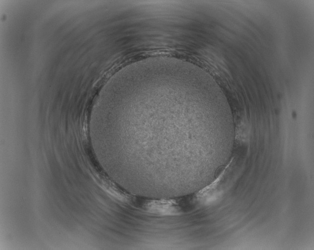 X0000067480179200604071148