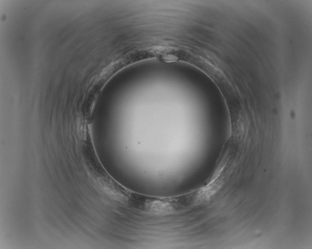 X0000067480180200604071148