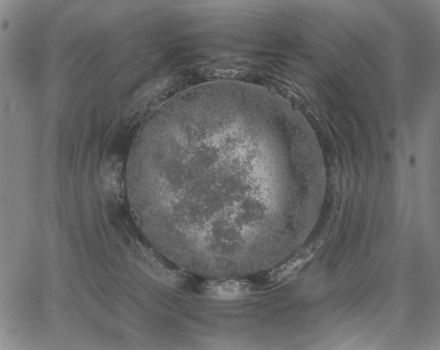 X0000067480181200604071148