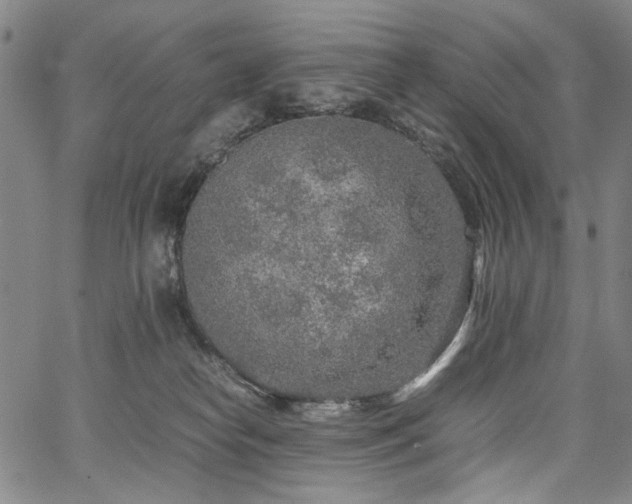 X0000067480182200604071148