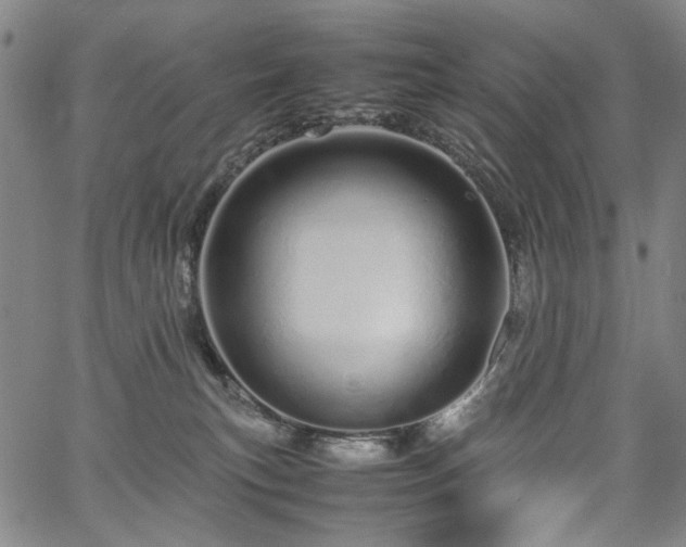 X0000067480183200604071148