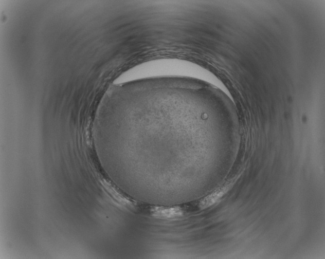 X0000067480185200604071148