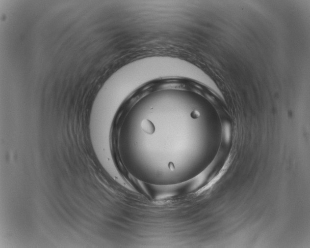 X0000067480186200604071148