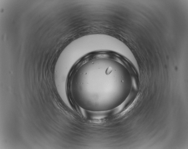 X0000067480187200604071148