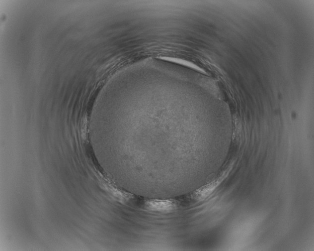 X0000067480189200604071148