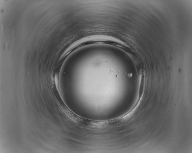 X0000067480190200604071148