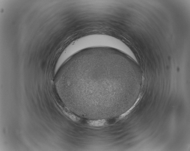 X0000067480191200604071148