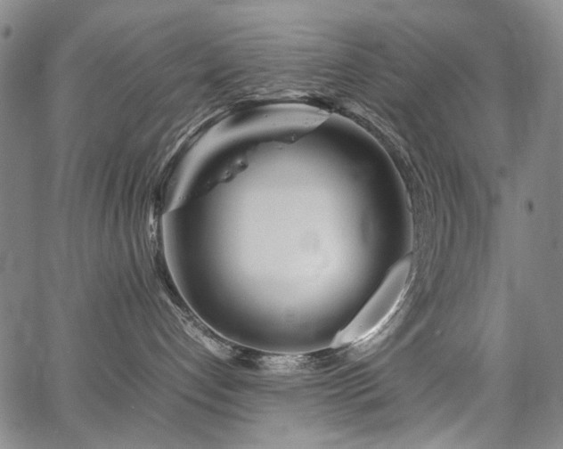 X0000067480192200604071148