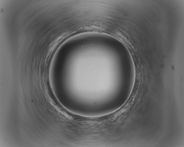 X0000067480193200604071147