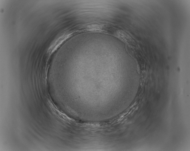 X0000067480194200604071147