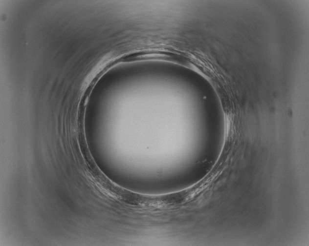 X0000067480195200604071147