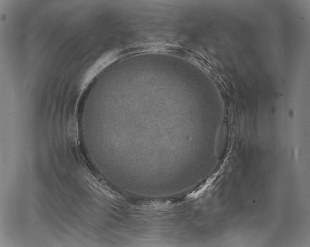 X0000067480198200604071147