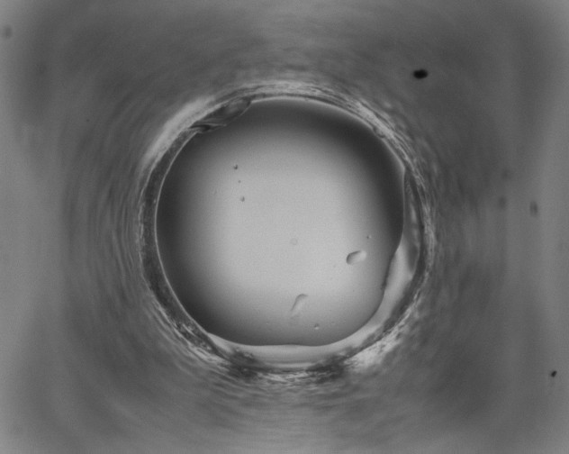 X0000067480199200604071147