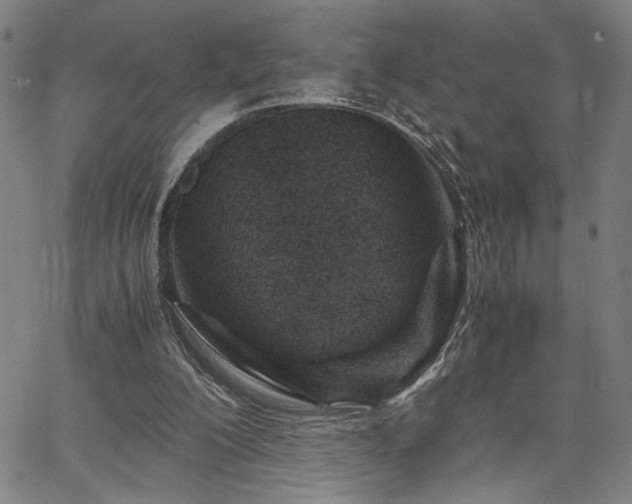 X0000067480200200604071147