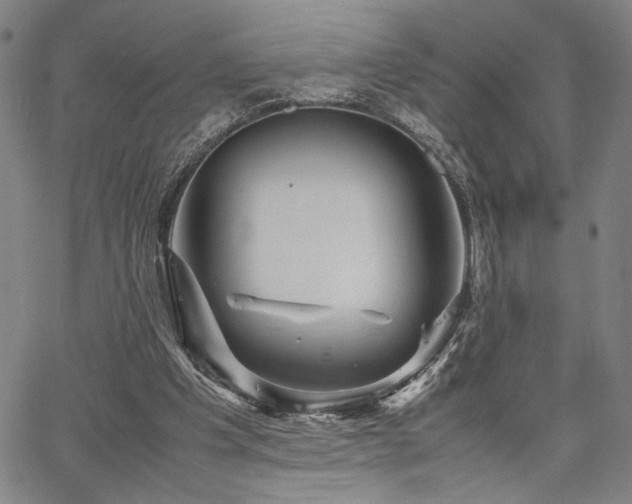 X0000067480201200604071147