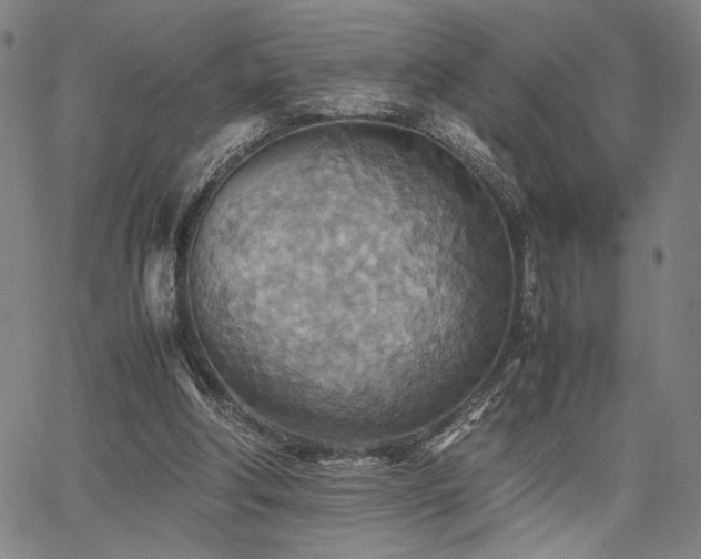 X0000067480202200604071147