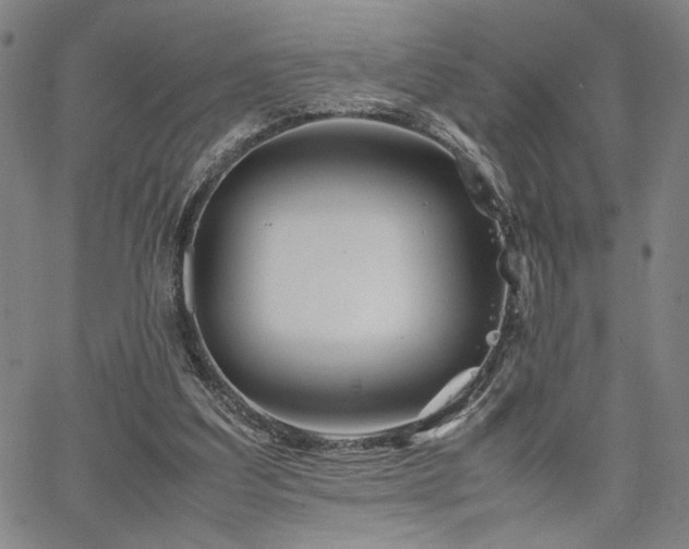 X0000067480203200604071147