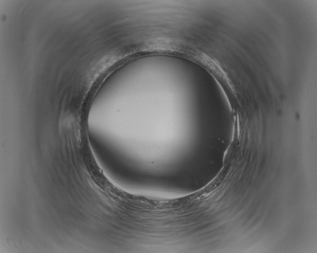 X0000067480204200604071147