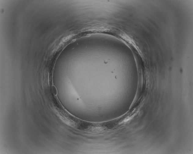 X0000067480205200604071147