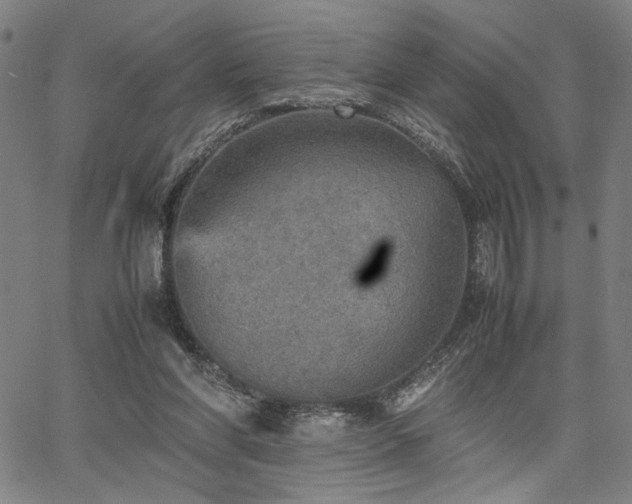 X0000067480206200604071147