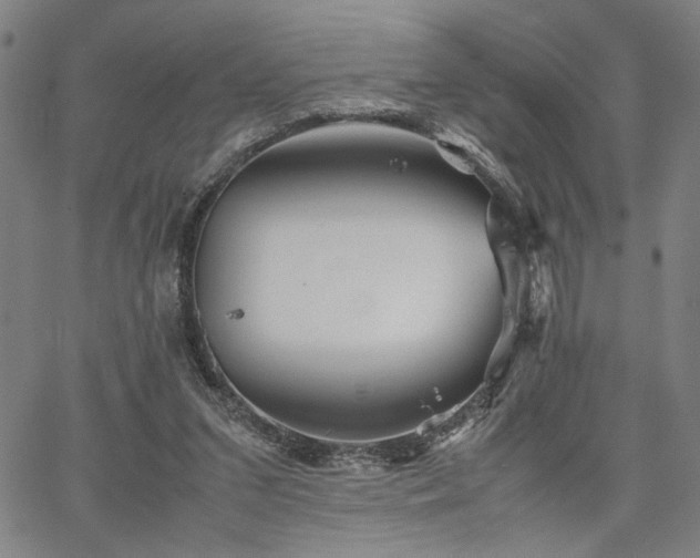 X0000067480207200604071147