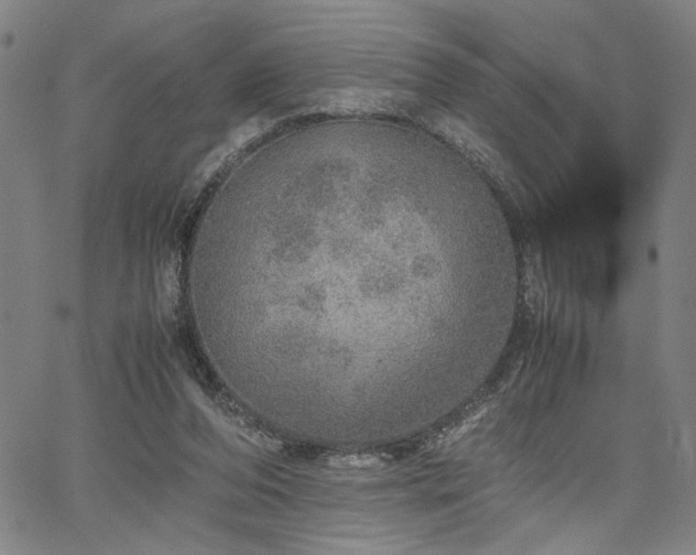 X0000067480208200604071147