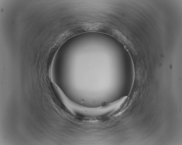 X0000067480209200604071147