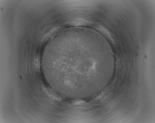 X0000067480210200604071147