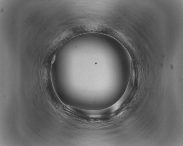 X0000067480211200604071147