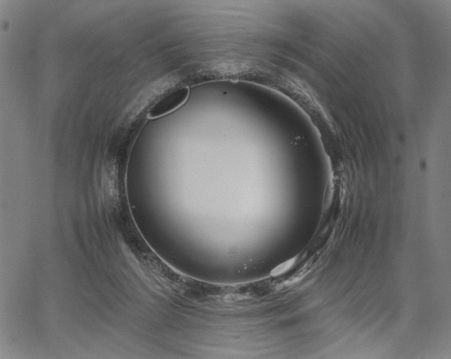 X0000067480212200604071147