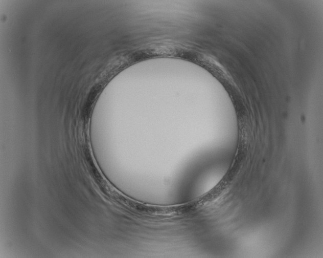 X0000067480213200604071147