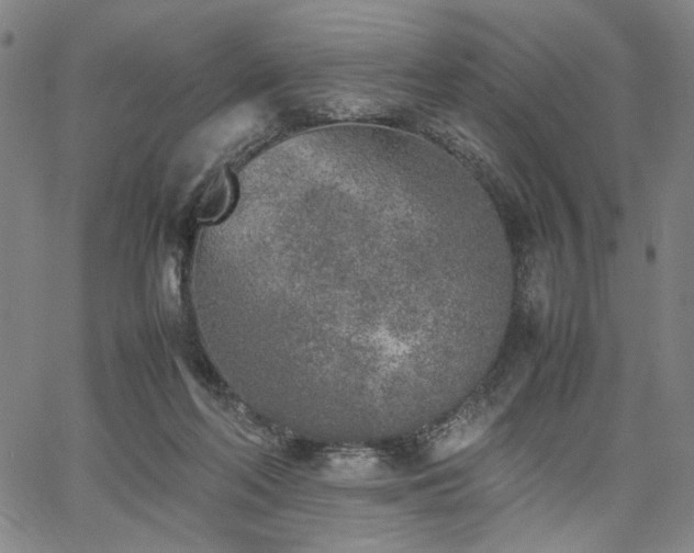 X0000067480214200604071147