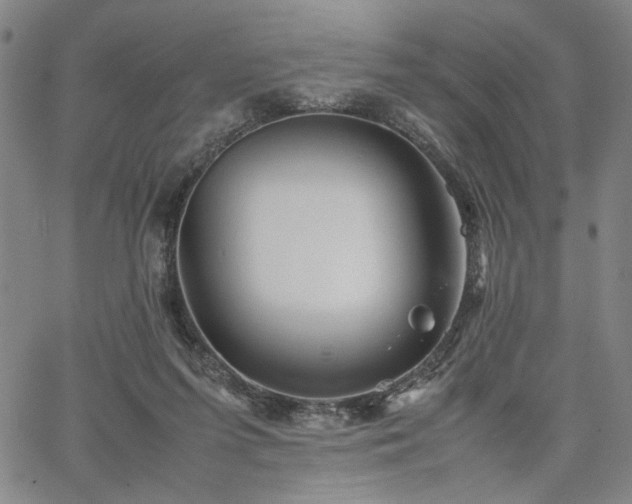 X0000067480215200604071147