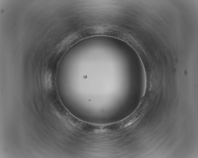 X0000067480216200604071147