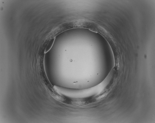 X0000067480217200604071147