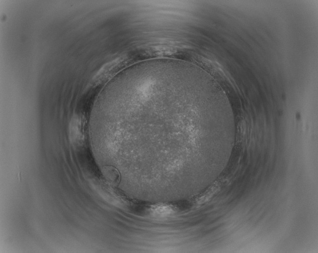 X0000067480218200604071147