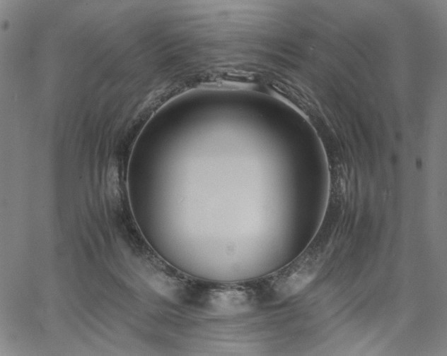 X0000067480220200604071147