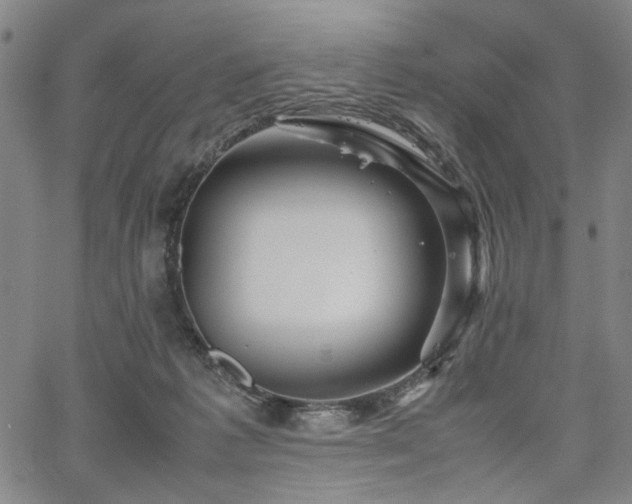 X0000067480221200604071147