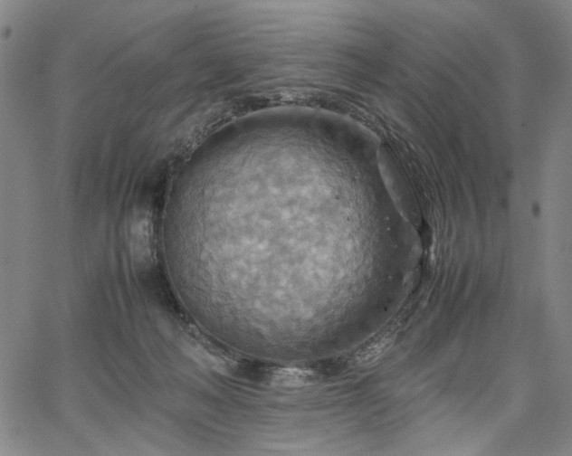 X0000067480222200604071147