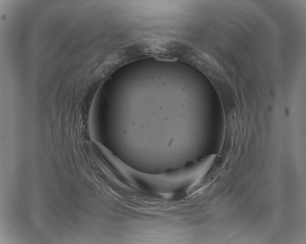 X0000067480223200604071147