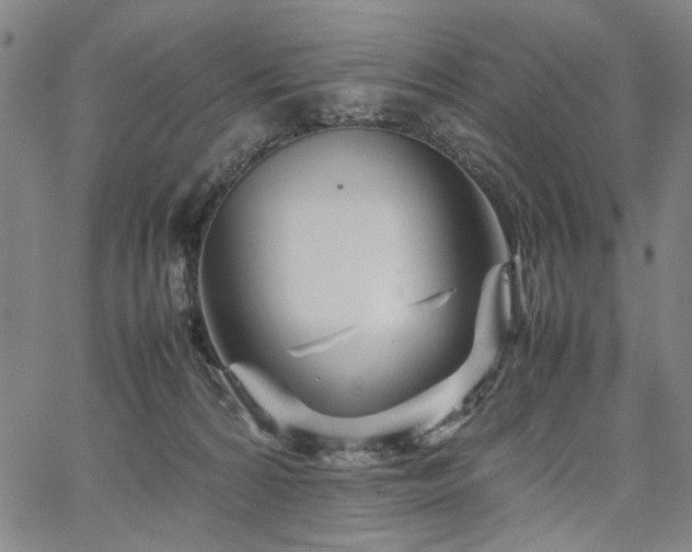 X0000067480224200604071147